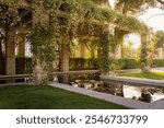 Rose garden, Rosaleda del Parque del Oeste, in Madrid on a spring sunset, Spain