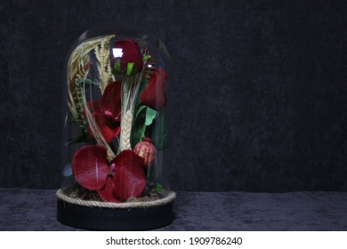 
Rose In Glass Bell Jar