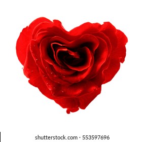 Rose heart