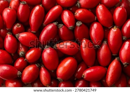 Rose hip batch full frame. Top view