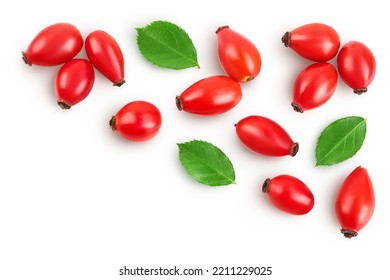 Rose hip isolated on a white background with full depth of field. Top view with copy space for your text. Flat lay.