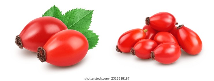 Rose hip isolated on a white background with full depth of field