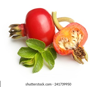 Rose Hip Isolated On White Background.