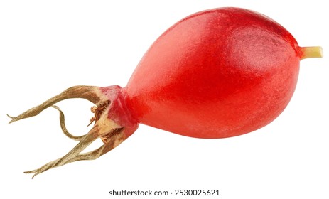 Rose Hip isolated on white background, clipping path, full depth of field