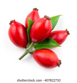 Rose Hip Isolated On A White Background.