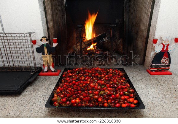 Rose Hips Dogrose Briar On Tray Stock Photo Edit Now 226318330
