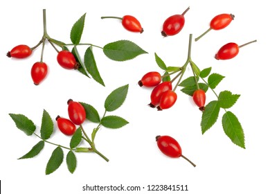 Rose hips isolated on white, top view.