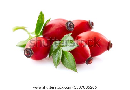 Rose hips with leaves on white background