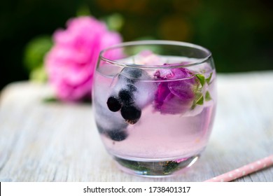 Rose Infused Gin And Tonic In The Garden