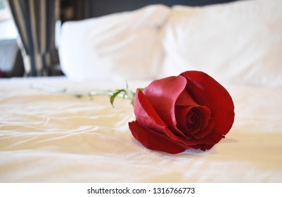 A Rose Left On The Bed Of A Cruise Stateroom