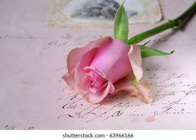 rose on letter