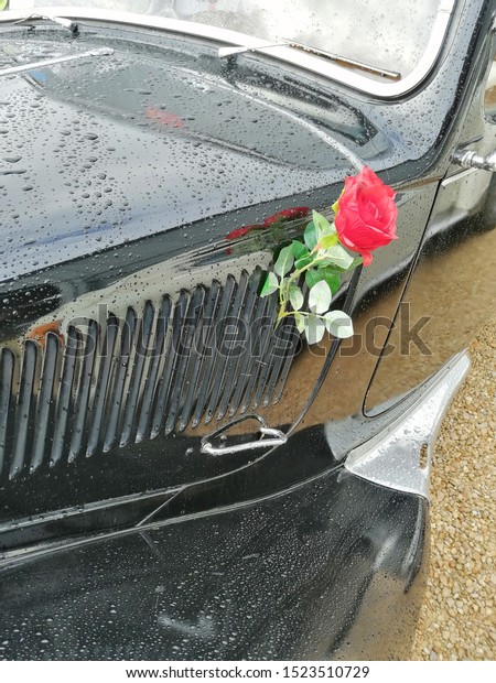 a rose on the old black\
car