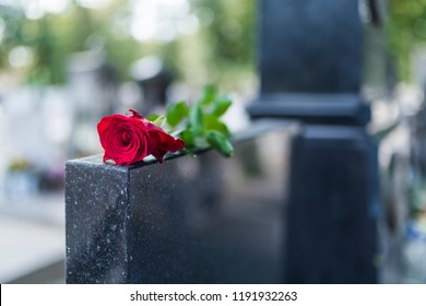 Rose on tombstone. Red rose on grave. Love - loss. Flower on memorial stone close up. Tragedy and sorrow for the loss of a loved one. Memory. Gravestone with withered rose