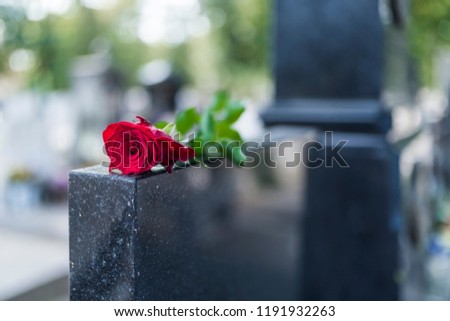 Rose on tombstone. Red rose on grave. Love - loss. Flower on memorial stone close up. Tragedy and sorrow for the loss of a loved one. Memory. Gravestone with withered rose