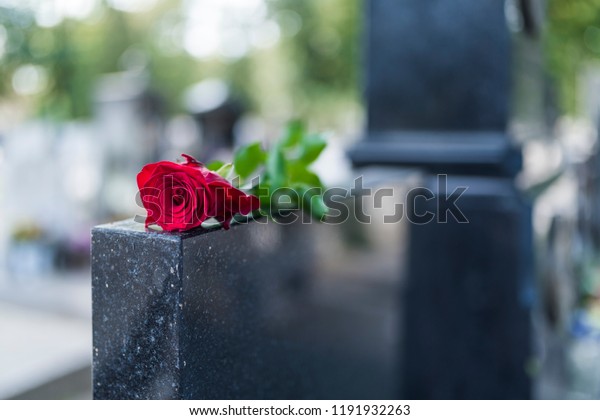 Rose on tombstone.\
Red rose on grave. Love - loss. Flower on memorial stone close up.\
Tragedy and sorrow for the loss of a loved one. Memory. Gravestone\
with withered rose