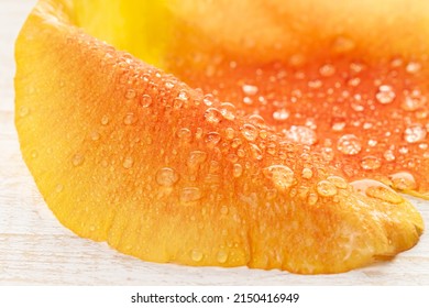 Rose Orange Petal With Raindrops Isolated White Wooden Background Macro Wallpaper