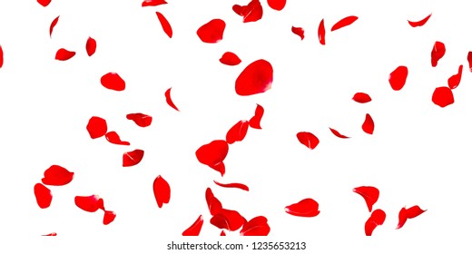 Rose Patels Stock Image Stock Photo 1235653213 | Shutterstock