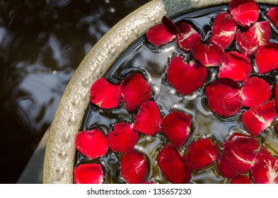 The Rose Petal Is Floating On Water