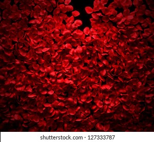 Rose Petals Background On Black Ground