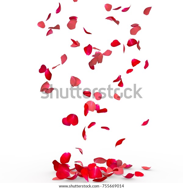 Rose Petals Fall Floor Isolated Background Stock Photo 755669014 ...