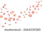 Rose petals flying together on a white background.
