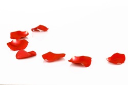 Rose Petals Isolated On White