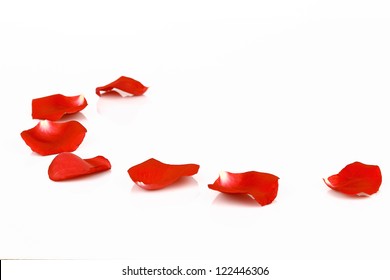 Rose Petals Isolated On White