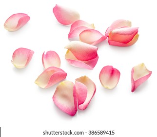 Rose petals isolated on white background - Shutterstock ID 386589415