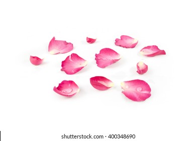 Rose Petals Isolated On White Background
