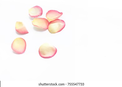 Rose Petals Isolated On White Background