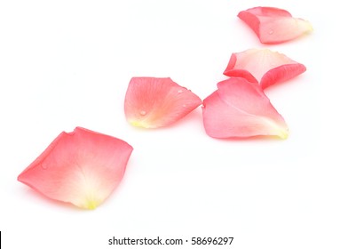 Rose Petals On A White Background