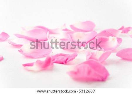 Similar – Image, Stock Photo Tortellini á la Mirkowelle -for girls