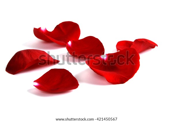 Rose Petals Representing Love Romance Isolated Stock Photo (Edit Now ...