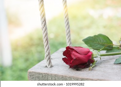 The rose is placed on the swing until it wither. Waiting to deliver love to Valentine's Day.