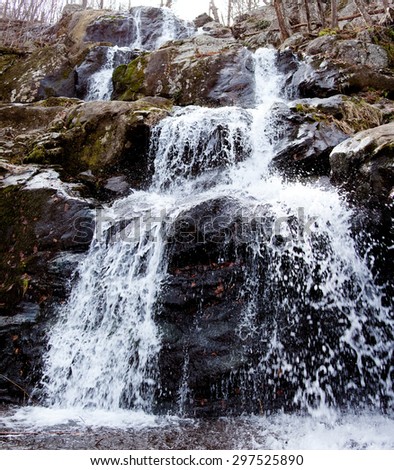 Rose River