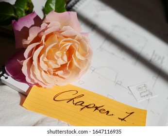 A Rose, A Sketch And A Note Announcing This Is The First Chapter.