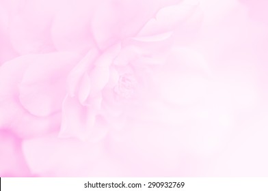 Rose in soft and blue style for background - Shutterstock ID 290932769