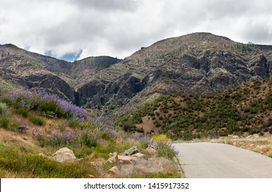 Rose Valley in Los Padres National Forest during spring 