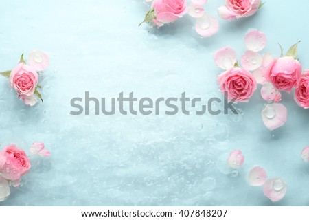 Rose in water,spa background.