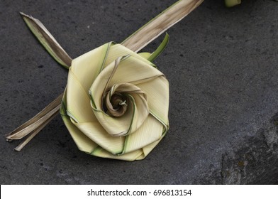 Rose Woven Form Palm Frond