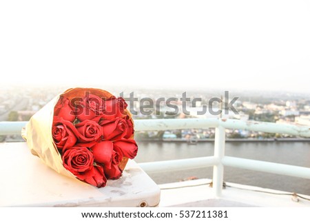 rose  for you