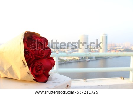 rose  for you