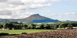 Roseberry Topping, North Yorkshire, From The North
