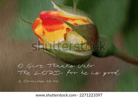 Rosebud with Bible Verse, Texture Added to Photo