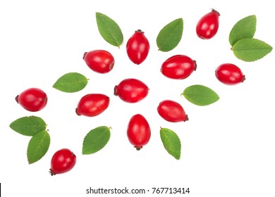 rosehip berries isolated on white background. Flat lay pattern. Top view
