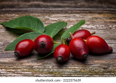 Rosehip berries (Rosa canina) on wooden table