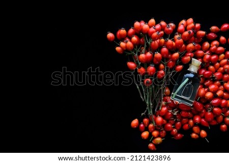 rosehip branches with red dog rose fruits on a black  table	
