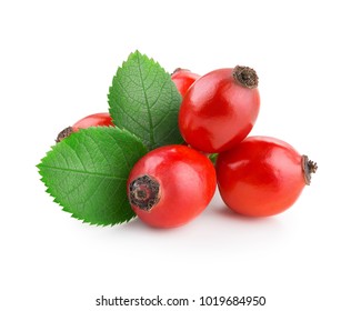 Rosehip Isolated On A White Background