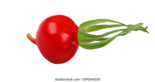 Rosehip Isolated On White Background