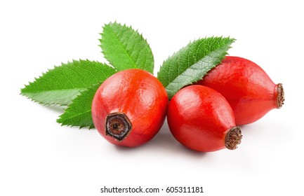 Rosehip isolated on a white background. Fresh raw briar berries with leaves.